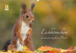 Eichhörnchen in zauberhaften Posen (Wandkalender 2021 DIN A2 quer)