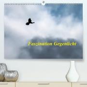 Faszination Gegenlicht (Premium, hochwertiger DIN A2 Wandkalender 2021, Kunstdruck in Hochglanz)