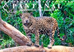 Pantanal: Faszinierende Tiere hautnah (Tischkalender 2021 DIN A5 quer)