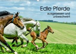 Edle Pferde - ausgelassen und unbeschwert (Wandkalender 2021 DIN A2 quer)