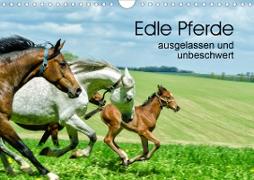 Edle Pferde - ausgelassen und unbeschwert (Wandkalender 2021 DIN A4 quer)
