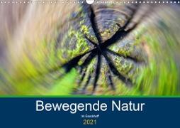 Bewegende Natur (Wandkalender 2021 DIN A3 quer)