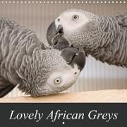 Lovely African Greys (Wall Calendar 2021 300 × 300 mm Square)