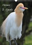 Herons & Egrets (Wall Calendar 2021 DIN A4 Portrait)