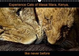 Experience Cats of Masai Mara, Kenya, like never before (Wall Calendar 2021 DIN A3 Landscape)