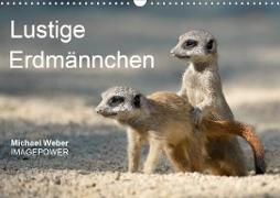 Lustige Erdmännchen (Wandkalender 2021 DIN A3 quer)