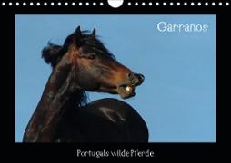 Garranos (Wandkalender 2021 DIN A4 quer)