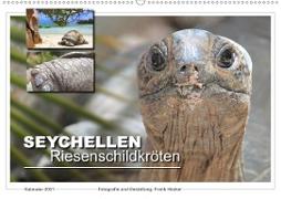 Seychellen Riesenschildkröten (Wandkalender 2021 DIN A2 quer)