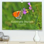 Gefährdete Insekten - unsere Nützlinge (Premium, hochwertiger DIN A2 Wandkalender 2021, Kunstdruck in Hochglanz)