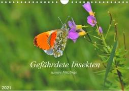 Gefährdete Insekten - unsere Nützlinge (Wandkalender 2021 DIN A4 quer)