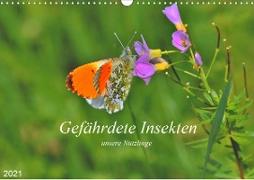 Gefährdete Insekten - unsere Nützlinge (Wandkalender 2021 DIN A3 quer)