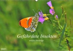 Gefährdete Insekten - unsere Nützlinge (Wandkalender 2021 DIN A2 quer)