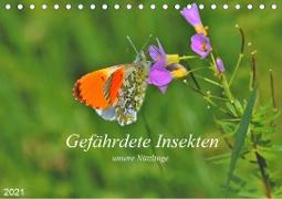 Gefährdete Insekten - unsere Nützlinge (Tischkalender 2021 DIN A5 quer)