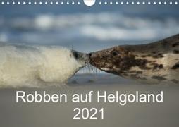 Robben auf Helgoland 2021CH-Version (Wandkalender 2021 DIN A4 quer)