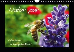 Natur pur / Kleine Dinge in ihrer großen Pracht (Wandkalender 2021 DIN A4 quer)