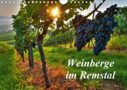 Weinberge im Remstal (Wandkalender 2021 DIN A4 quer)