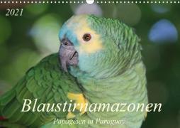 Blaustirnamazonen - Papageien in Paraguay (Wandkalender 2021 DIN A3 quer)