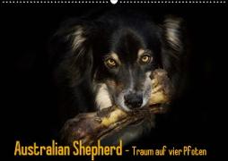 Australian Shepherd - Traum auf vier Pfoten (Wandkalender 2021 DIN A2 quer)