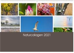 Naturcollagen 2021 (Wandkalender 2021 DIN A2 quer)