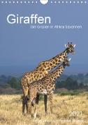 Giraffen - Die Grazien in Afrikas Savannen (Wandkalender 2021 DIN A4 hoch)