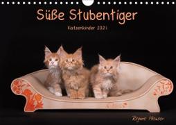 Süße Stubentiger - Katzenkinder (Wandkalender 2021 DIN A4 quer)