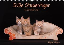 Süße Stubentiger - Katzenkinder (Wandkalender 2021 DIN A3 quer)