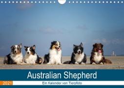 Australian Shepherd 2021 (Wandkalender 2021 DIN A4 quer)