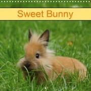 Sweet Bunny (Wall Calendar 2021 300 × 300 mm Square)