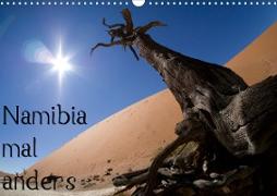 Namibia mal anders (Wandkalender 2021 DIN A3 quer)