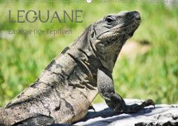 Leguane - Einzigartige Reptilien (Wandkalender 2021 DIN A2 quer)