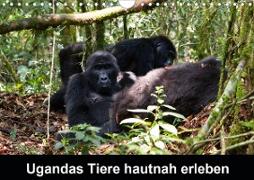 Ugandas Tiere hautnah erleben (Wandkalender 2021 DIN A4 quer)