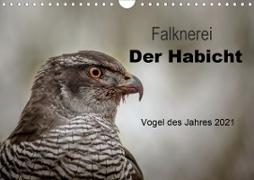Falknerei Der Habicht (Wandkalender 2021 DIN A4 quer)