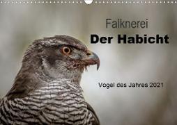 Falknerei Der Habicht (Wandkalender 2021 DIN A3 quer)