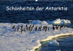 Schönheiten der Antarktis (Wandkalender 2021 DIN A2 quer)