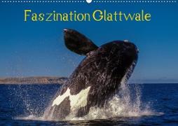 Faszination Glattwale (Wandkalender 2021 DIN A2 quer)