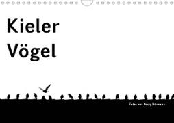 Kieler Vögel (Wandkalender 2021 DIN A4 quer)