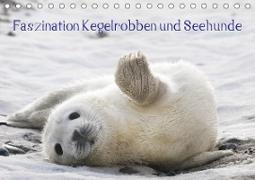 Faszination Kegelrobben und Seehunde 2021 (Tischkalender 2021 DIN A5 quer)