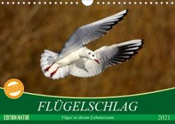 Flügelschlag - Vögel in ihrem natürlichen Lebensraum (Wandkalender 2021 DIN A4 quer)