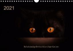 Schokoladige Britisch Kurzhaar Katzen (Wandkalender 2021 DIN A4 quer)