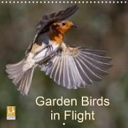 Garden Birds in Flight (Wall Calendar 2021 300 × 300 mm Square)