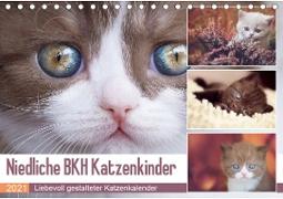 Niedliche BKH Katzenkinder (Tischkalender 2021 DIN A5 quer)