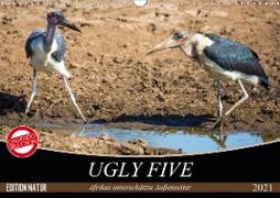 Ugly Five (Wandkalender 2021 DIN A3 quer)