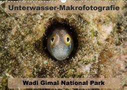 Unterwasser-Makrofotografie Wadi Gimal National Park (Wandkalender 2021 DIN A3 quer)