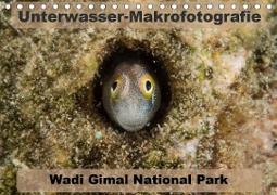 Unterwasser-Makrofotografie Wadi Gimal National Park (Tischkalender 2021 DIN A5 quer)