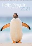 Hallo Pinguin (Wandkalender 2021 DIN A2 hoch)