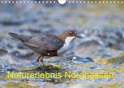 Naturerlebnis Nordhessen (Wandkalender 2021 DIN A4 quer)