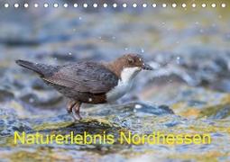 Naturerlebnis Nordhessen (Tischkalender 2021 DIN A5 quer)