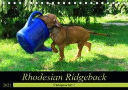 Rhodesian Ridgeback - Schnappschüsse - (Tischkalender 2021 DIN A5 quer)