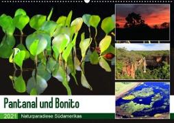Pantanal und Bonito (Wandkalender 2021 DIN A2 quer)