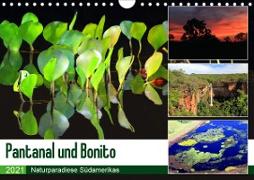 Pantanal und Bonito (Wandkalender 2021 DIN A4 quer)